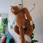 Jungle Evasion Avec Jaccuzi En Centre Apartman Boulogne-sur-Mer