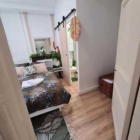 Jungle Evasion - Detente & Comfort * Boulogne-sur-Mer