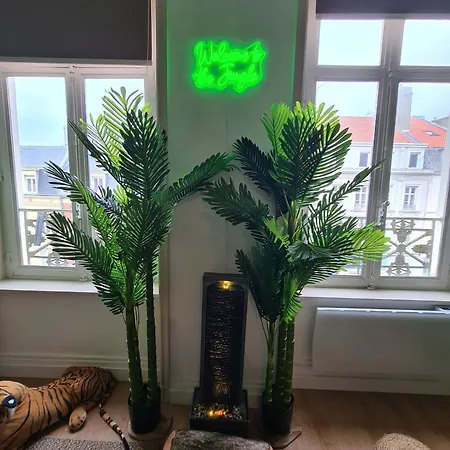 Jungle Evasion Avec Jacuzzi Prive - Hypercentre *