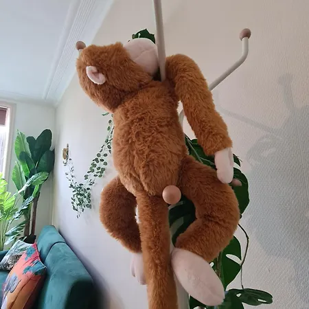 Jungle Evasion - Detente & Comfort Lejlighed Boulogne-sur-Mer