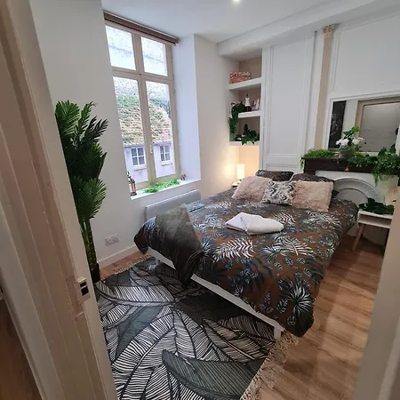 Jungle Evasion - Detente & Comfort *