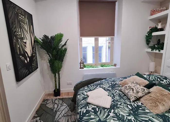 דירה Jungle Evasion Avec Jaccuzi En Centre *
