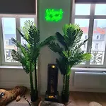 Jungle Evasion Avec Jaccuzi En Centre *