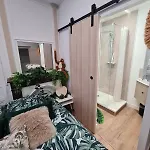 Jungle Evasion Avec Jaccuzi En Centre * Boulogne-sur-Mer