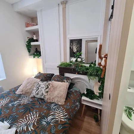 Apartment Jungle Evasion - Detente & Comfort Boulogne-sur-Mer