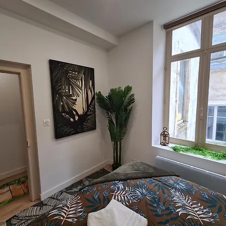 Jungle Evasion - Detente & Comfort Apartment *