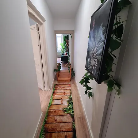 Jungle Evasion - Detente & Comfort * Boulogne-sur-Mer