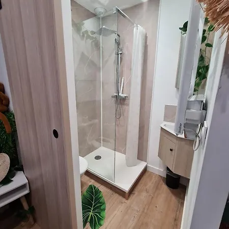 Jungle évasion Avec Jaccuzi En Centre Apartamento Boulogne-sur-Mer