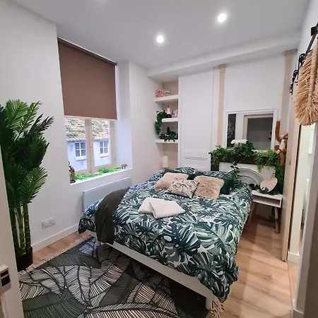 Jungle Evasion - Detente & Comfort Boulogne-sur-Mer