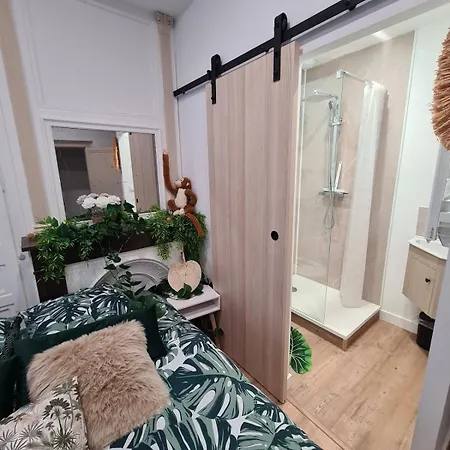 Jungle Evasion - Detente & Comfort * Boulogne-sur-Mer