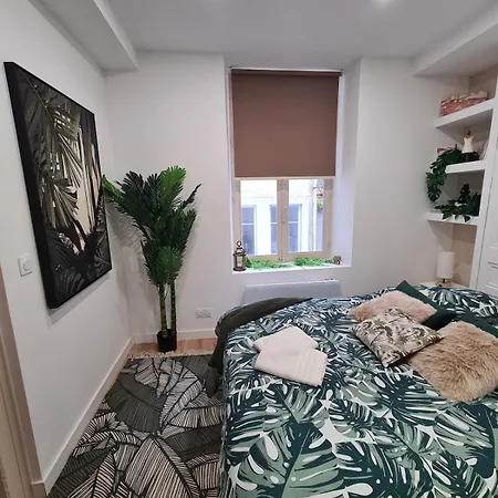 Apartment Jungle Evasion - Detente & Comfort *
