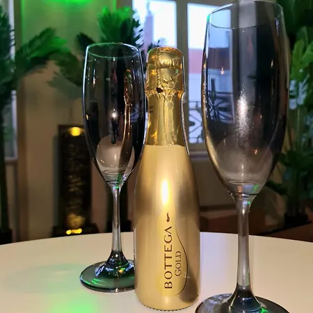 Jungle Evasion - Detente & Comfort