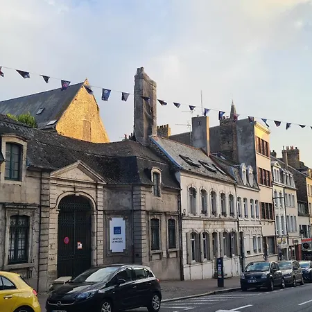 Jungle Evasion - Detente & Comfort *