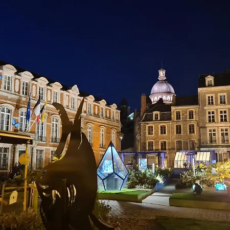 Jungle Evasion - Detente & Comfort *