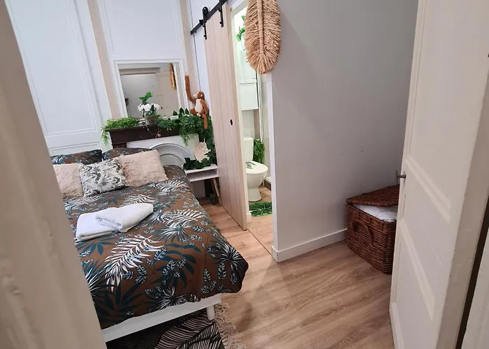 Jungle Evasion - Detente & Comfort * 볼로뉴쉬르메르