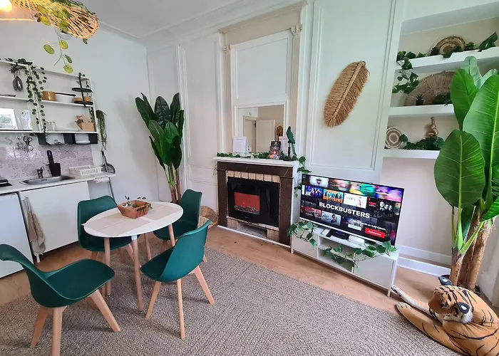 Jungle Evasion - Detente & Comfort