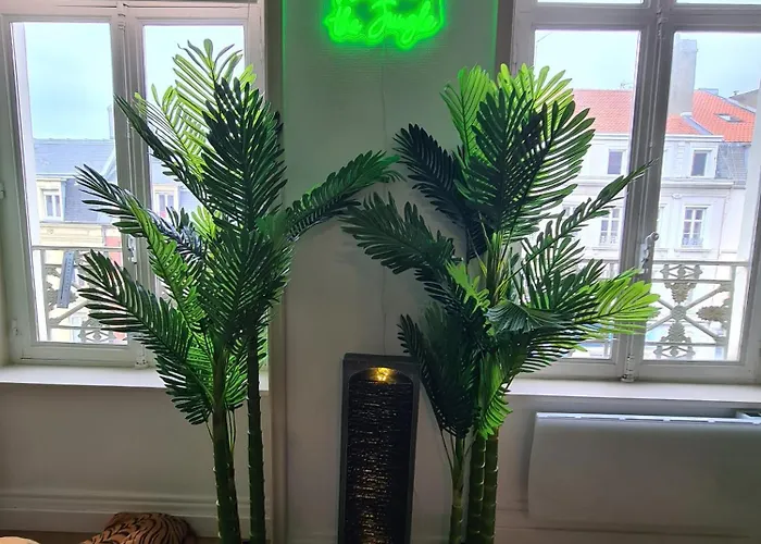 Jungle Evasion - Detente & Comfort *