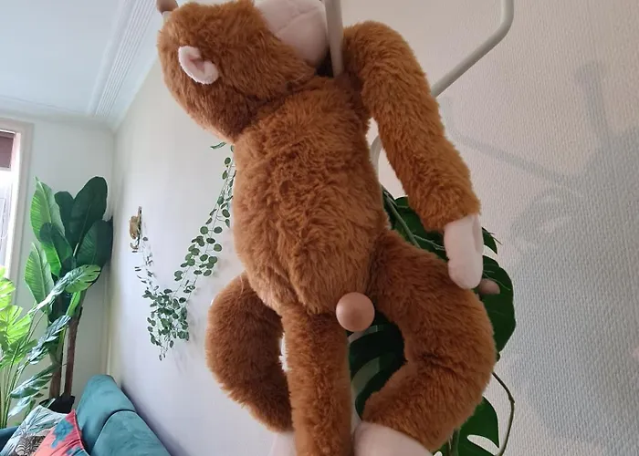 Jungle Evasion Avec Jaccuzi En Centre Apartment Boulogne-sur-Mer