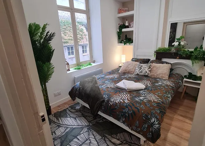 Jungle Evasion - Detente & Comfort *