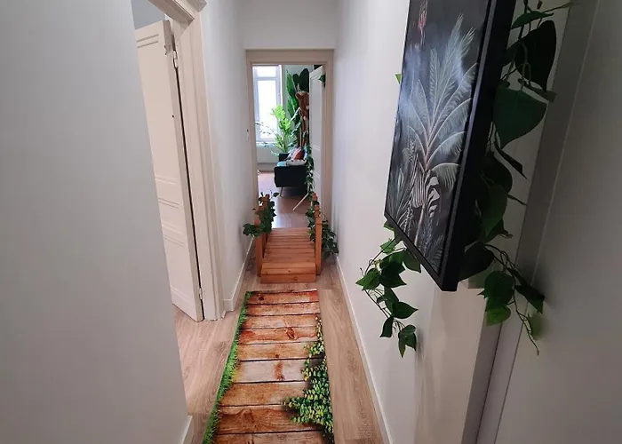 Jungle Evasion Avec Jaccuzi En Centre * Boulogne-sur-Mer