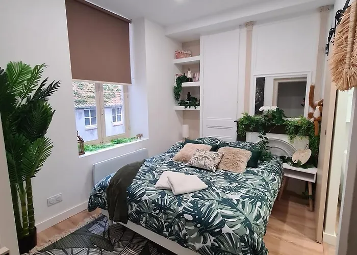 Jungle Evasion - Detente & Comfort 볼로뉴쉬르메르