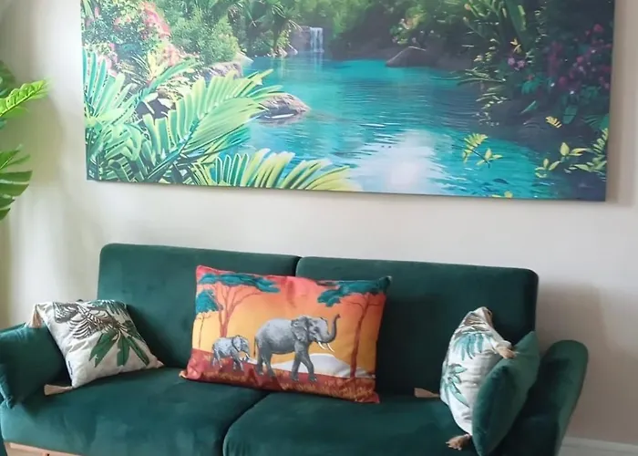 Apartment Jungle Evasion Avec Jaccuzi En Centre Boulogne-sur-Mer