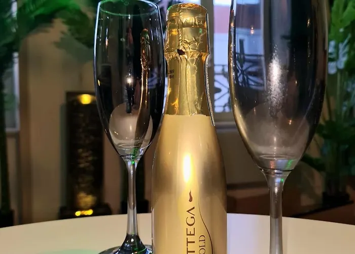 Jungle Evasion - Detente & Comfort